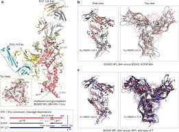 Choose a platform that fits your niche and your audience. Structure Of A Cleavage Independent Hiv Env Recapitulates The Glycoprotein Architecture Of The Native Cleaved Trimer Nature Communications