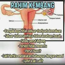 Banyaknya kembang mawar bermekaran tentunya akan menghasilkanpemandangan yang indah dipandang. Anak Dara Kena Rahim Kembang Rahim Sihat Abang Sayang Facebook