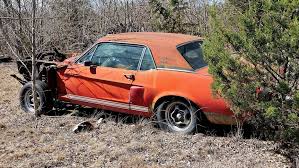 1967 Shelby Gt500 Found After 50 Years Could Be Worth Millions Ford Mustang Shelby Gt500 Mustang Shelby Shelby Gt500