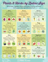 Strawberry Daisy And Lavender Zodiac Signs Astrology Zodiac