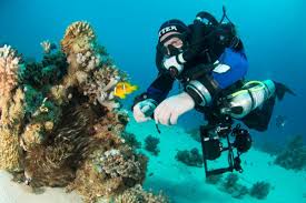 Diving (sport), the sport of jumping into deep water. Padi Rebreather Diver Advanced Rebreather Diver Divers Down Uae