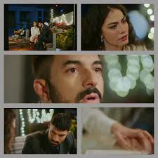 Is anyone increasingly depressed not to have Adim Farah in their lives??? I  am for sure. I think the series needed to end not at 27 but maybe 30. To  understand more