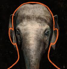 The Elephant In The Courtroom The New Yorker