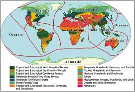 Cameroon, gabon, equatorial guinea, chad, republic of congo. Https Link Springer Com Content Pdf 10 1007 2f978 94 024 1120 1 Pdf