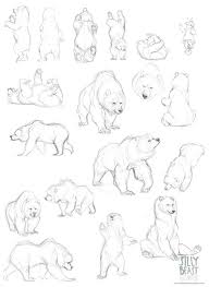 Bear Study 2 Animal Drawings Bear Art Bear Drawing