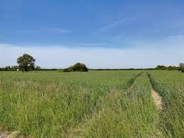 Le projet de loi dans son article 2, conditionne toutefois l'acquisition des terres agricoles par les sa et les sociétés en commandite par actions. Droit Rural Vente D Une Parcelle Louee Par Bail Rural Terre De Touraine