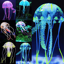 We did not find results for: Top 10 Best Of Aquarium Ornament For Fish Tanks 2020 Bestgamingpro