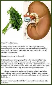 20140226 224908 Jpg Kidney Detox Cleanse Kidney Detox Liver Detox