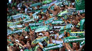 Que ano e ainda agora começámos! A Marcha Do Sporting Clube De Portugal De Maria Jose Valerio Youtube