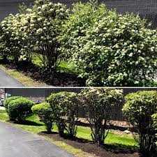 Receive two free applications with the purchase of a lawn care program. Moyer Lawn Service Home Facebook