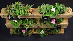 Diese gemüsearten unterstützen sich gegenseitig. Blume 2000 Einfach Machen Urban Gardening Mit Europalette Youtube