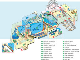 2020 top things to do in vancouver. Largest And Best Aquariums In The World 2021