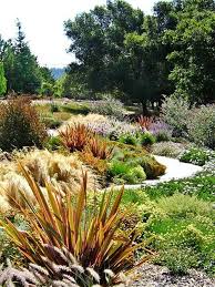 New Zealand Flax Garden Landscape Design Native Plant Landscape Native Garden