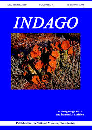 Image result for Plinthus karooicus