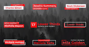 I am not asking for the credits, but if you do, thank you for that!!! 35 Best Premiere Pro Lower Thirds Templates Design Shack