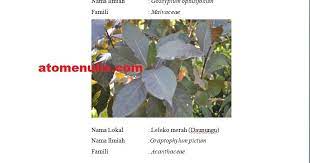 Maybe you would like to learn more about one of these? Contoh Proposal Penelitian Etnobotani Masyarakat Desa Ato Menulis