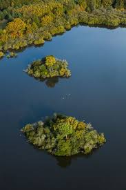 France Centre Loir Et Cher 41 Saint Viatre Foret Et Etangs De Sologne Vue Aerienne Sologne Loire Loir Et Cher