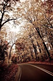 Pin Em Autumn Colors Encontre imagens stock de mesa marrom escuro e paisagem verde em hd e milhões de outras fotos, ilustrações e imagens vetoriais livres de direitos na coleção da shutterstock. pinterest