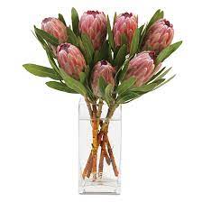 Madiba 3 Stems Indigenous Flower Vase Arrangements Protea Flower Flower Arrangements Simple