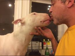 3 years ago at the resque center🤗 Close to gotcha day Greetz from Solomon  & Bastian's dad 🐾🐾 Greetz from Solomon 🐾