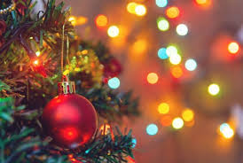Pittsburgh Zoo Holding Lights Drive Thru This Holiday Season