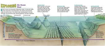 Ocean Floor Diagram Google Search Types Of Ocean Continental Shelf Learning Science