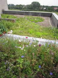 Dachbegrunung Dachterrasse Oder Flachdach Garten Auf Dem Dach Anlegen Immobilien Magazin