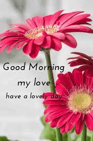 Best Good Morning Hd Images Wishes Pictures And Greetings Good Morning Flowers Good Morning Flowers Pictures Good Morning Images