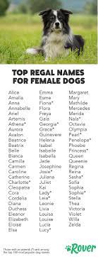 Most of the names here are heavily underused and at the same time, they are undeniably cute. 142 Best Regal Dog Names Of 2019 With Popularity Female Dog Names Puppies Names Female Girl Dog Names
