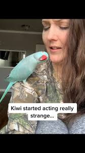 Tamara Bird What Happened