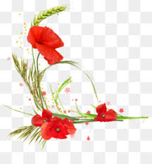 Sweet vanilla roast bouquet follows. Coquelicot Png And Coquelicot Transparent Clipart Free Download Cleanpng Kisspng