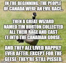 Dump Canada Funny Canada Memes Canadian Humor