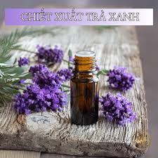 Top 10 Chiết Xuất Mỹ Phẩm Thiên Nhiên: Sự Lựa Chọn Hoàn Hảo Cho Làn Da Của  Bạn