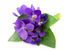 Maybe you would like to learn more about one of these? 12 Easy To Care For Ground Cover Flowers