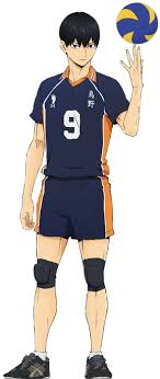 Looking after lev with yaku morisuke {playlist}. Haikyuu Karasuno High Characters Tv Tropes
