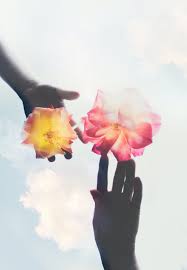 Check spelling or type a new query. 500 Flower Hands Pictures Hd Download Free Images On Unsplash