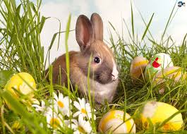 Osterbilder kostenlos runterladen 1920x1080 full hd und 3840x2160 ultra hd 4k schöne desktop wallpaper hintergrundbilder für pc gratis. Easter Wallpapers And Backgrounds Ostern Wallpaper Frohe Ostern Wallpaper Osterhase