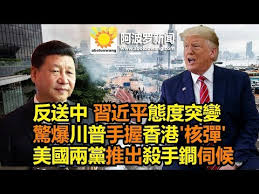 Image result for 反送中 美国