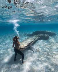 Breathtaking Underwater Photography By Andre Musgrove Underwater Photos Underwater Photography Underwater World