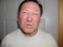 Leif Knecht re-elected to Bridgewater Board of Supervisors