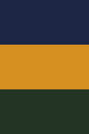 The jazz compete in the national basketball association (nba). New Jazz Colors Revealed Salt City Hoops