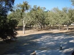 Sinsheimer park course starts between the baseball and softball fields. Heilmann Park Professional Disc Golf Association