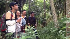 Five best friends try to find out what true friendship is by climbing mount semeru, the highest peak in java. Download Film 5 Cm Parody Film 5 Mm Mp4 3gp Hd Naijagreenmovies Fzmovies Netnaija