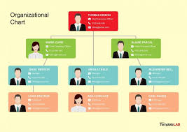 78 Unusual Organization Chart Designs
