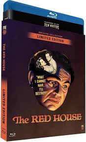 Amazon.com: The Red House (1947)| Newly Restored Archive Collection  [Blu-ray] : Delmer Davis, Edward G. Robinson, Lon McCallister, Judith  Anderson, Sol Lesser Productions: Movies & TV