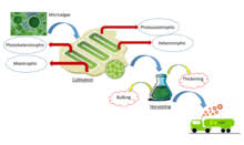 Presently, the industrial production of biodiesel fuel is performed by alcoholysis of waste oil using alkaline catalysts. Biofuel Wikipedia