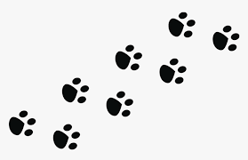 Choose from over a million free vectors, clipart graphics, vector art images, design templates, and illustrations created by artists worldwide! Thumb Image Transparent Bunny Paw Print Hd Png Download Kindpng