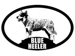 Black And White Blue Heeler Clipart Oval Blue Heeler Silhouette Sticker Dog Breed Decal Acd Etsy Blue Heeler Heeler Dog Breed Decal