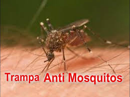 Ver más ideas sobre trampa para mosquitos, mosquitos, repelente. Trampa Casera Para Mosquitos Evita Los Mosquitos En Casa Youtube