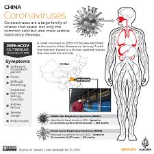 Bicycle drawings / last art show for summer 2019 |. China Coronavirus Outbreak All The Latest Updates Coronavirus Pandemic News Al Jazeera